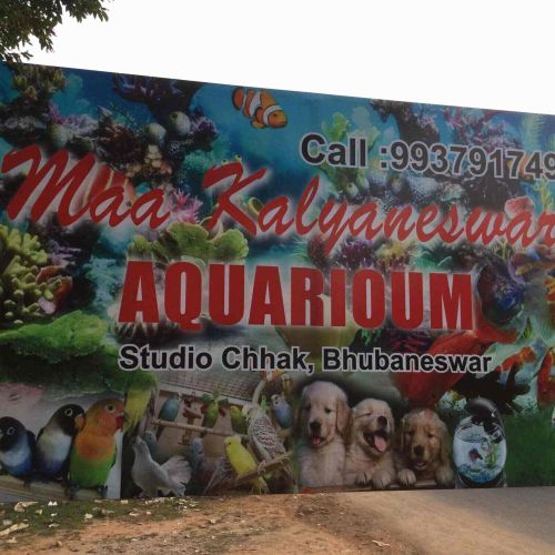 Maa Kalyaneswari Aquarium