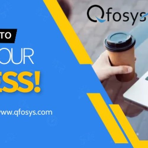 Qfosys Software Pvt Ltd